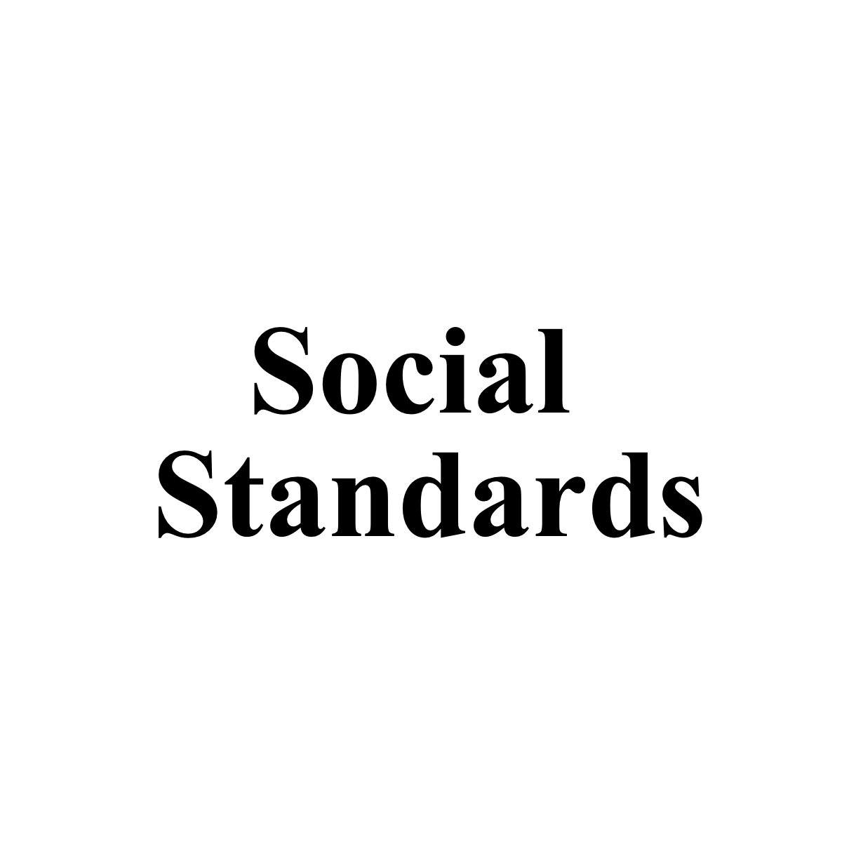 socialstandards.club favicon